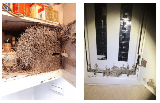 這張圖片的 alt 屬性值為空,它的檔案名稱為 image-10.png